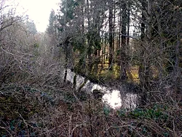 View from the patio to the Burn of Canny