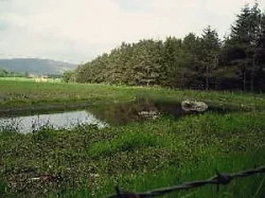 Pond near Greenpark Leisure
